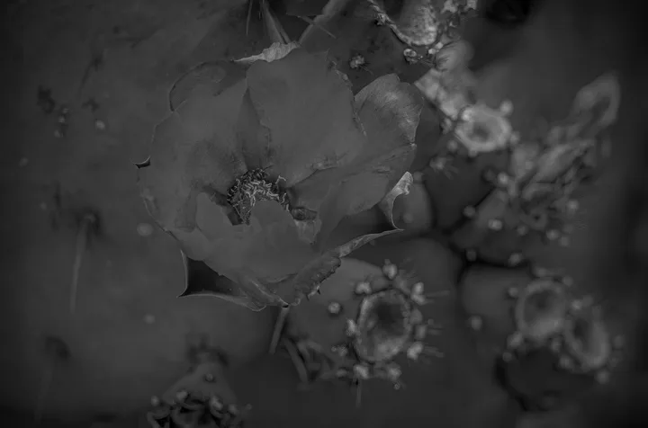 Abstract, work 1