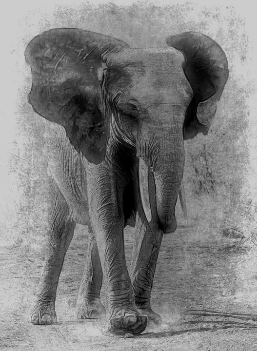 Africa, work 6