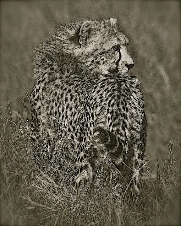 Africa, work 9