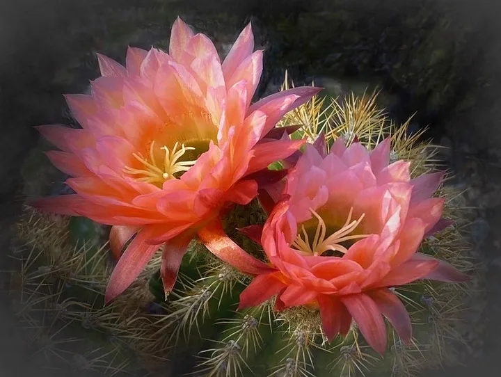 Flowers, work 3