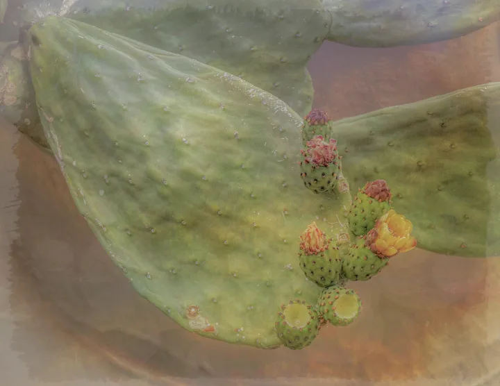 Flowers, work 6
