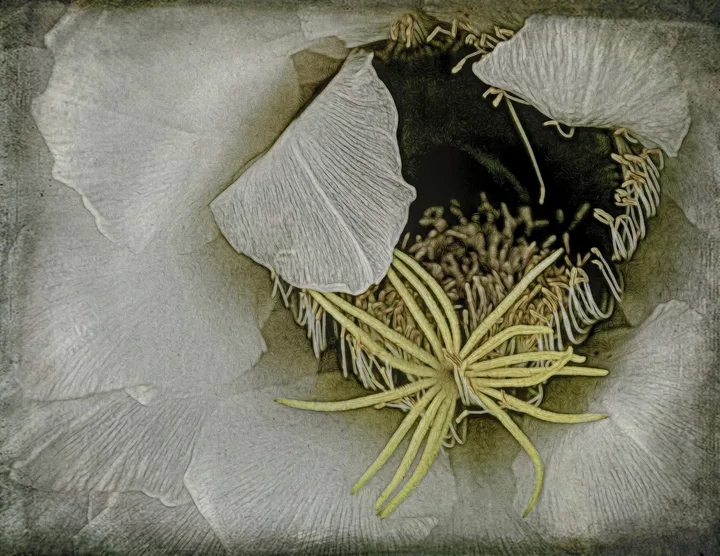 Flowers, work 17