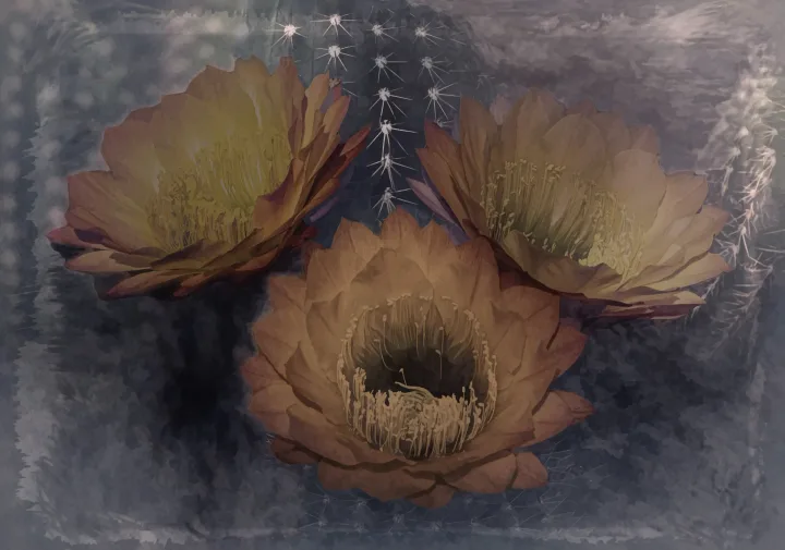 Flowers, work 37