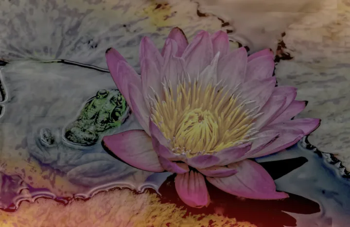 Flowers, work 42