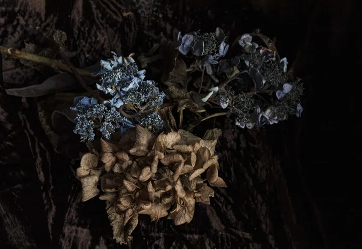 Flowers, work 45