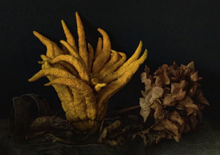 Flowers, work 46