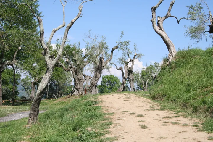 Italy, work 11