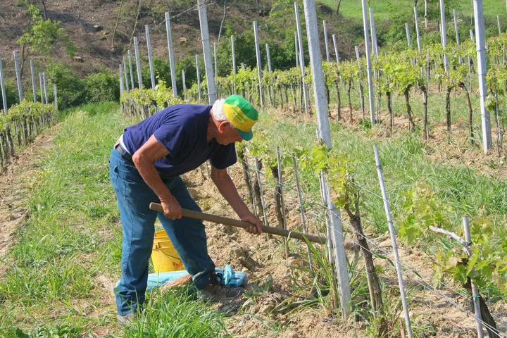 Italy, work 28