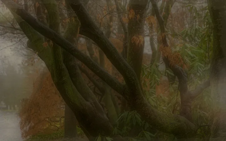 Landscapes, work 9