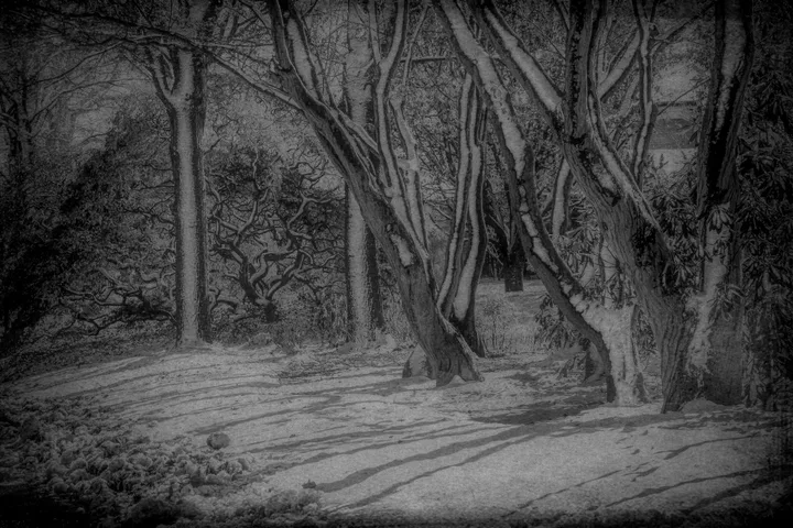 Landscapes, work 10