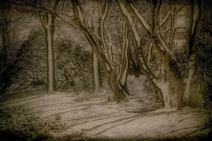 Landscapes, work 11