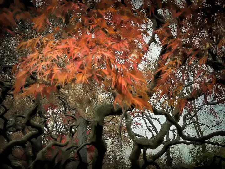 Landscapes, work 12