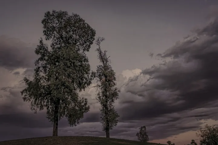 Landscapes, work 16