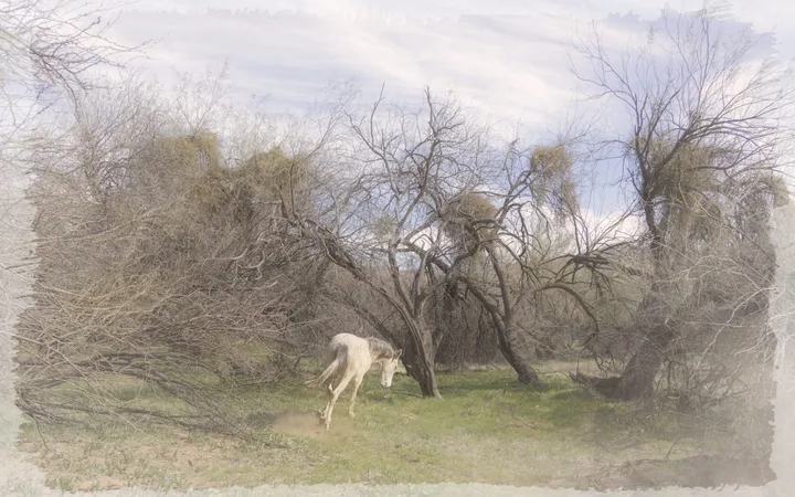 Landscapes, work 18