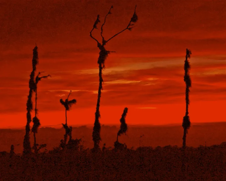 Sunsets, work 1