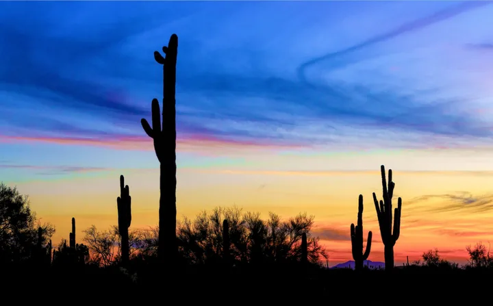 Sunsets, work 5