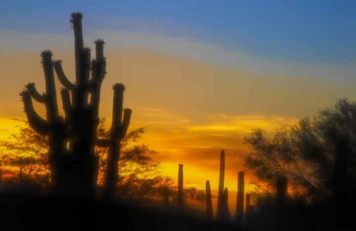 Sunsets, work 6