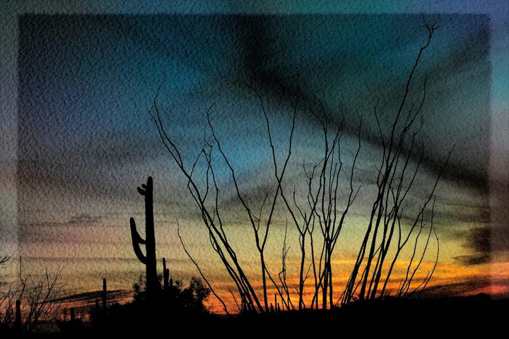 Sunsets, work 21