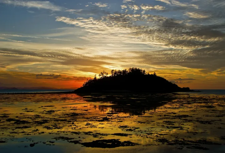Sunsets, work 23