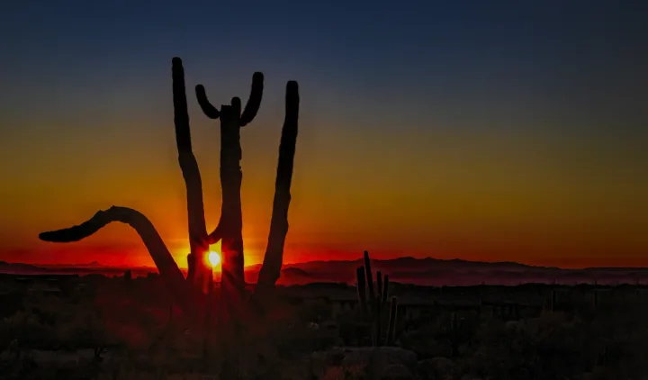 Sunsets, work 46