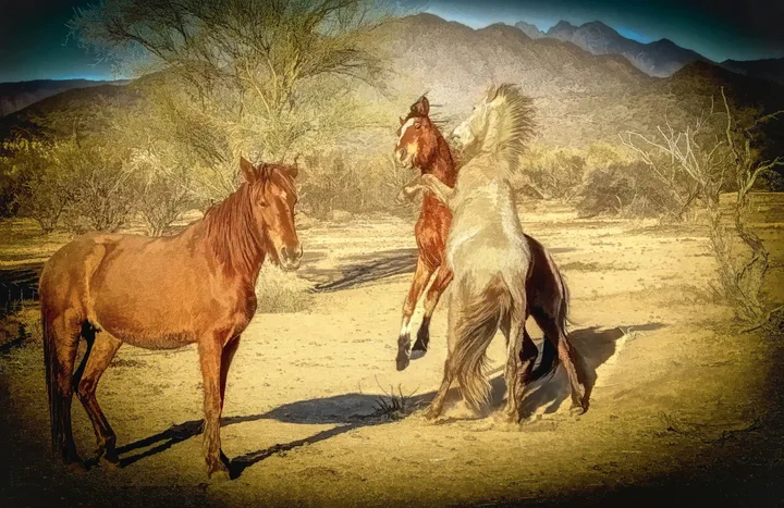 Wild Horses in Action, work 9