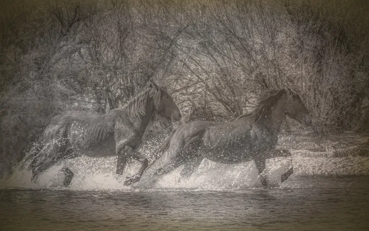 Wild Horses, work 17