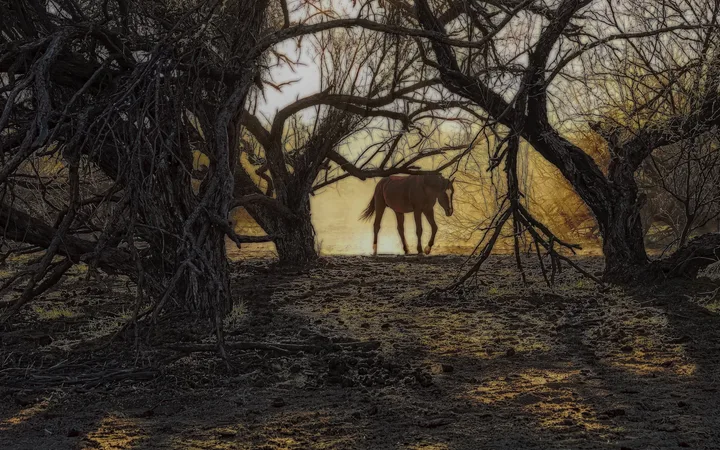 Wild Horses, work 27