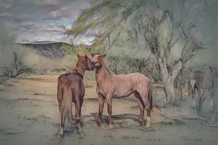 Wild Horses, work 45