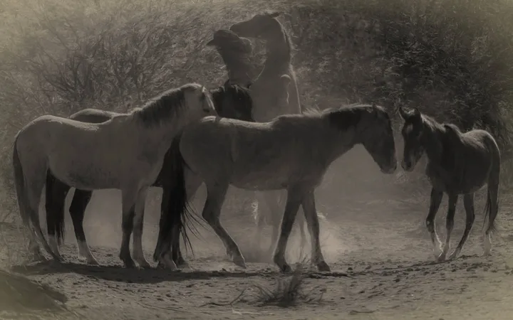 Wild Horses, work 53