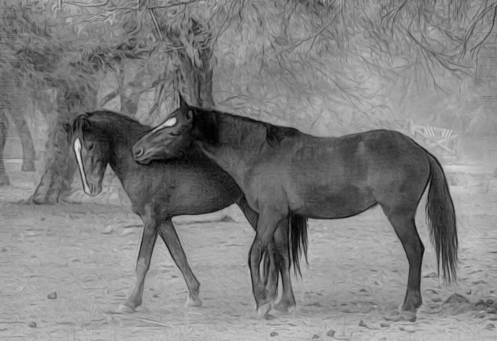Wild Horses, work 64